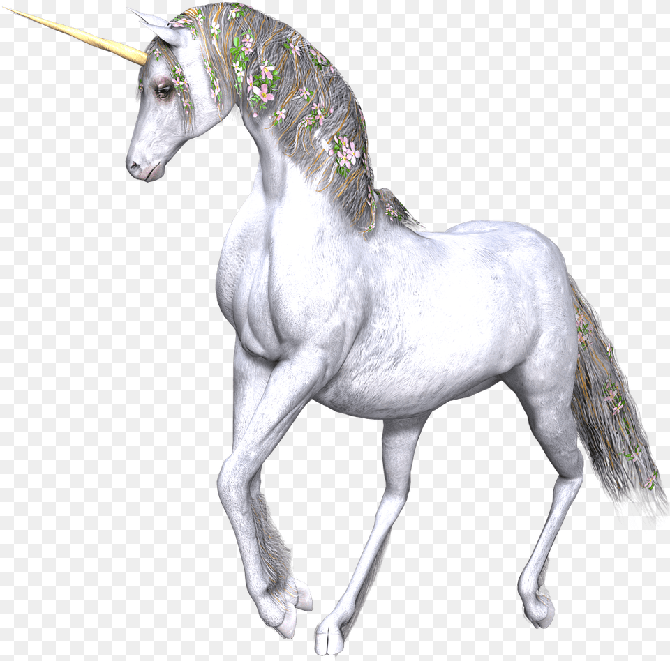 Flowers In Manes Mythical Creatures Animal, Horse, Mammal, Andalusian Horse Free Transparent Png