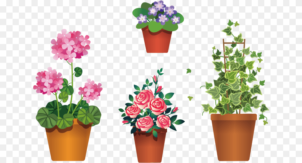 Flowers In Pot Clipart Transparent Background, Plant, Flower, Flower Arrangement, Geranium Free Png