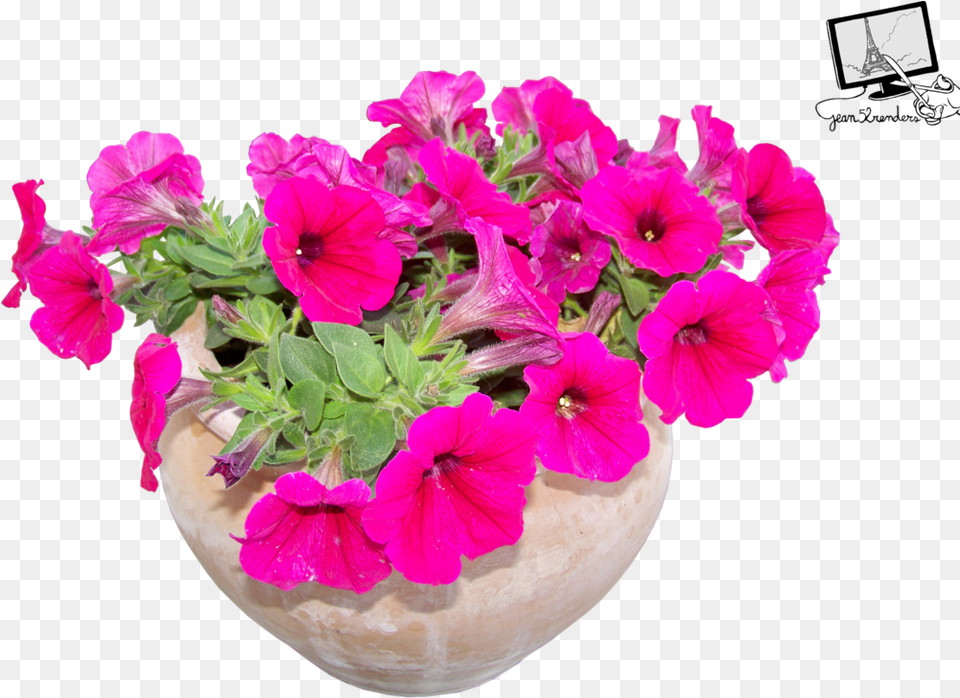 Flowers In Pots Flowerpot, Flower, Flower Arrangement, Geranium, Plant Free Png Download