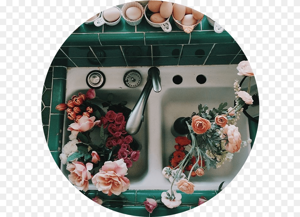 Flowers In Sink Aesthetic, Flower, Petal, Plant, Rose Free Transparent Png