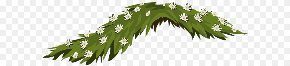 Flowers Jasmine White Leaves Arrangement F Illustration, Art, Green, Graphics, Plant Png Image