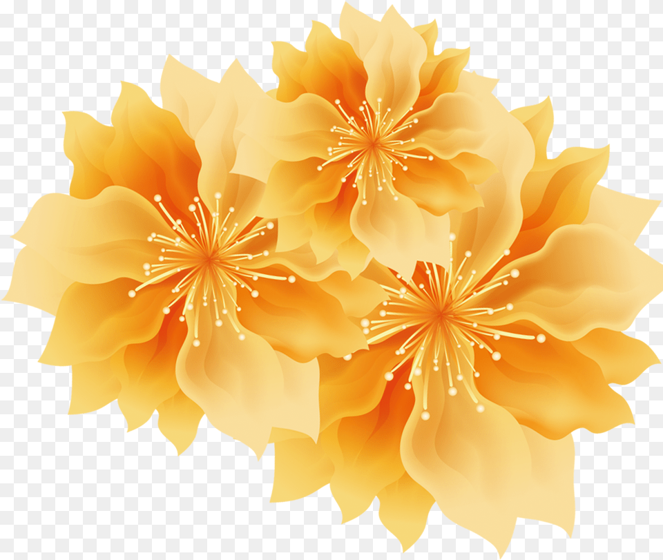 Flowers Konfest, Leaf, Petal, Flower, Plant Png Image