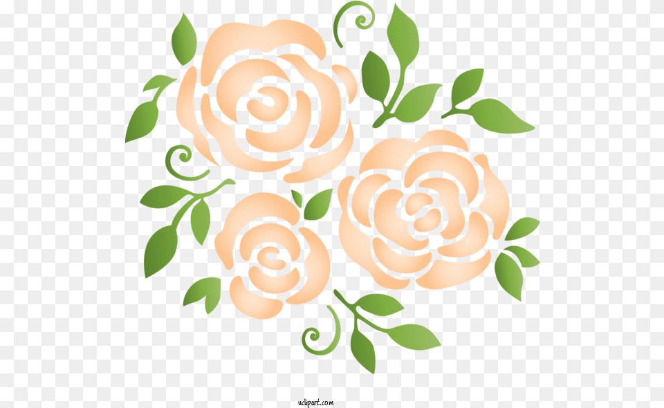 Flowers Leaf Plant Pattern For Rose Decorative, Art, Floral Design, Graphics Free Png