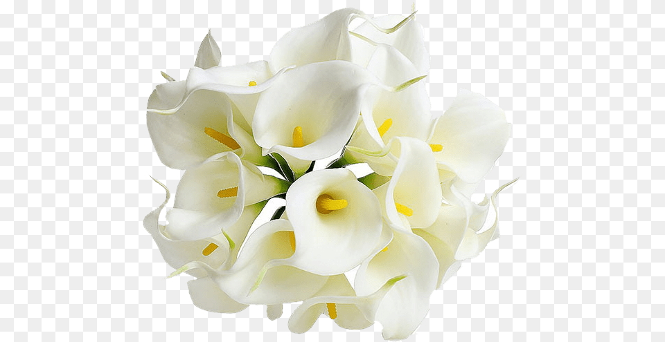 Flowers Mala Calla Lily Flower, Flower Arrangement, Flower Bouquet, Petal, Plant Free Png Download