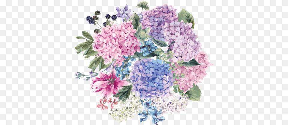Flowers Names Generator Generate Random Flowers Names, Art, Pattern, Graphics, Geranium Free Transparent Png