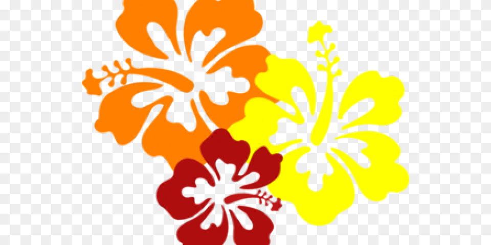 Flowers Of Hawaii, Flower, Hibiscus, Plant, Person Png Image