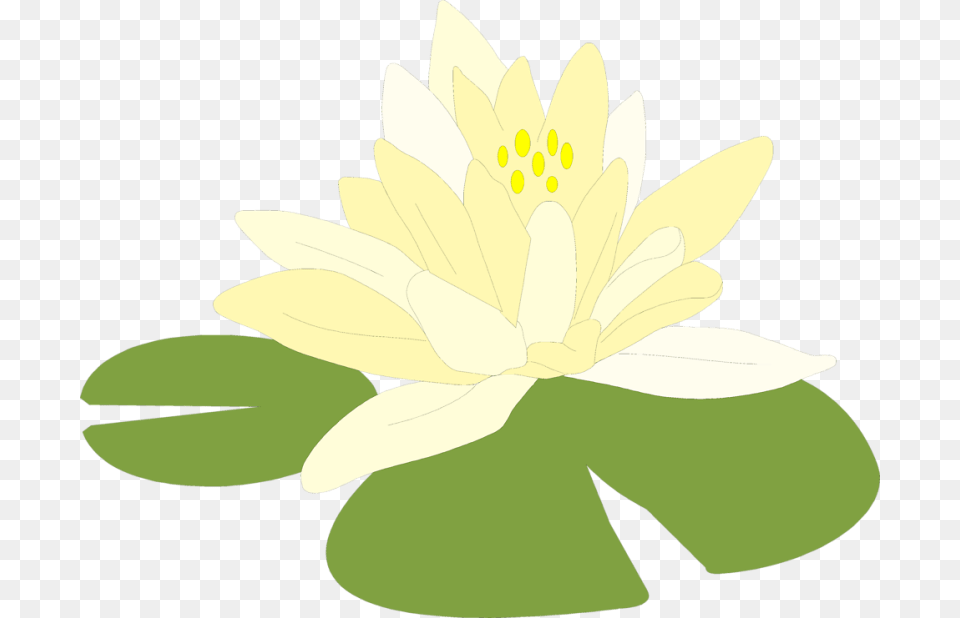 Flowers Of Lily Pads Clip Art Gardening Flower And Vegetables, Plant, Anther, Pond Lily Png Image
