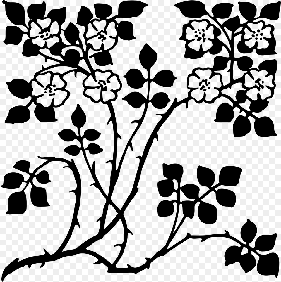 Flowers On A Wall Drawing, Gray Png