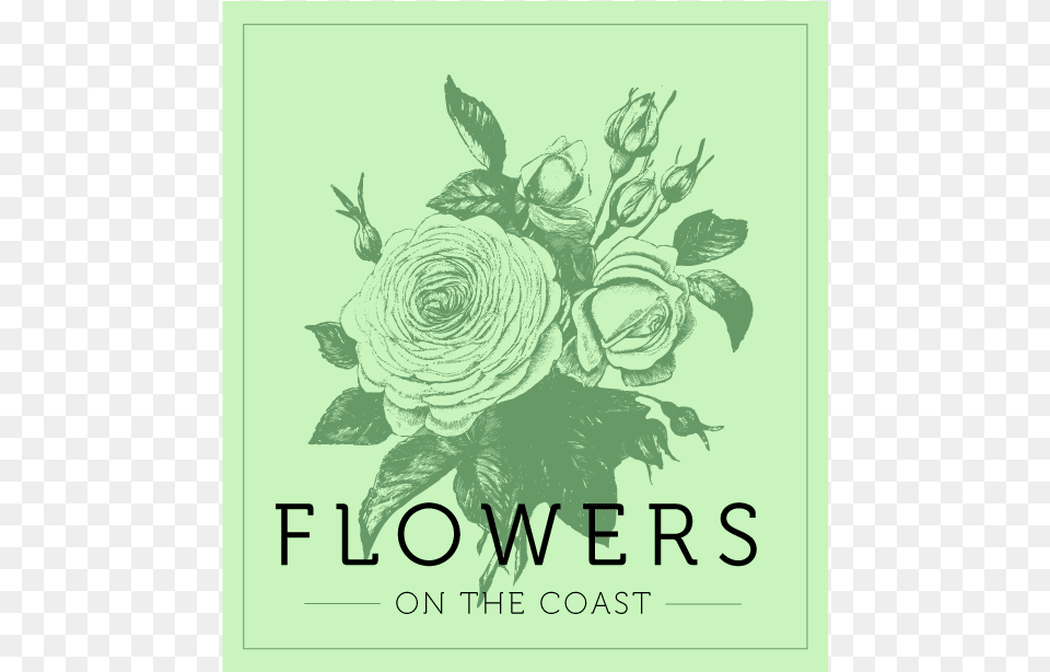 Flowers On The Coast Rose, Publication, Plant, Pattern, Graphics Free Transparent Png