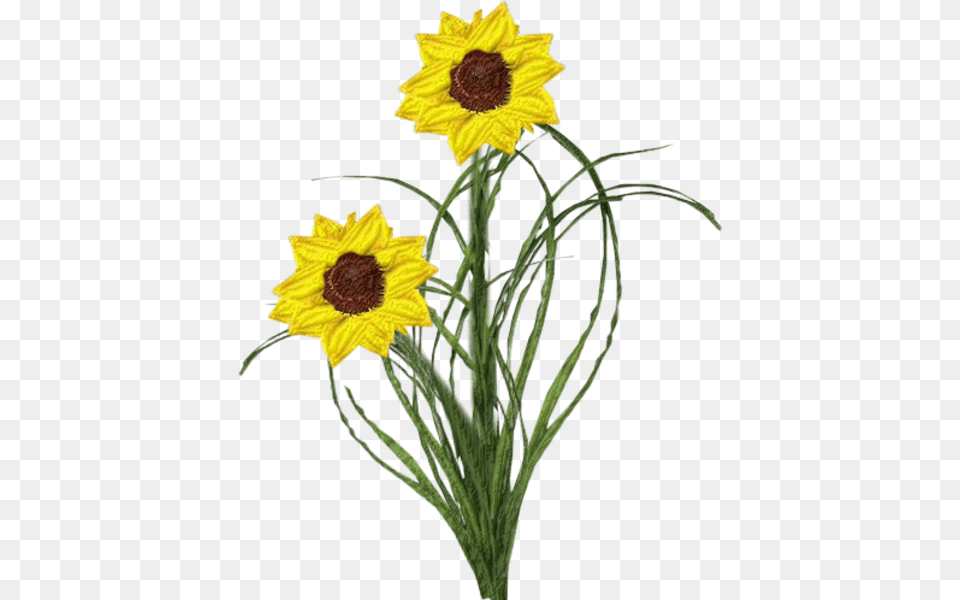 Flowers Paper Yellow Images, Flower, Plant, Sunflower, Daffodil Free Png Download