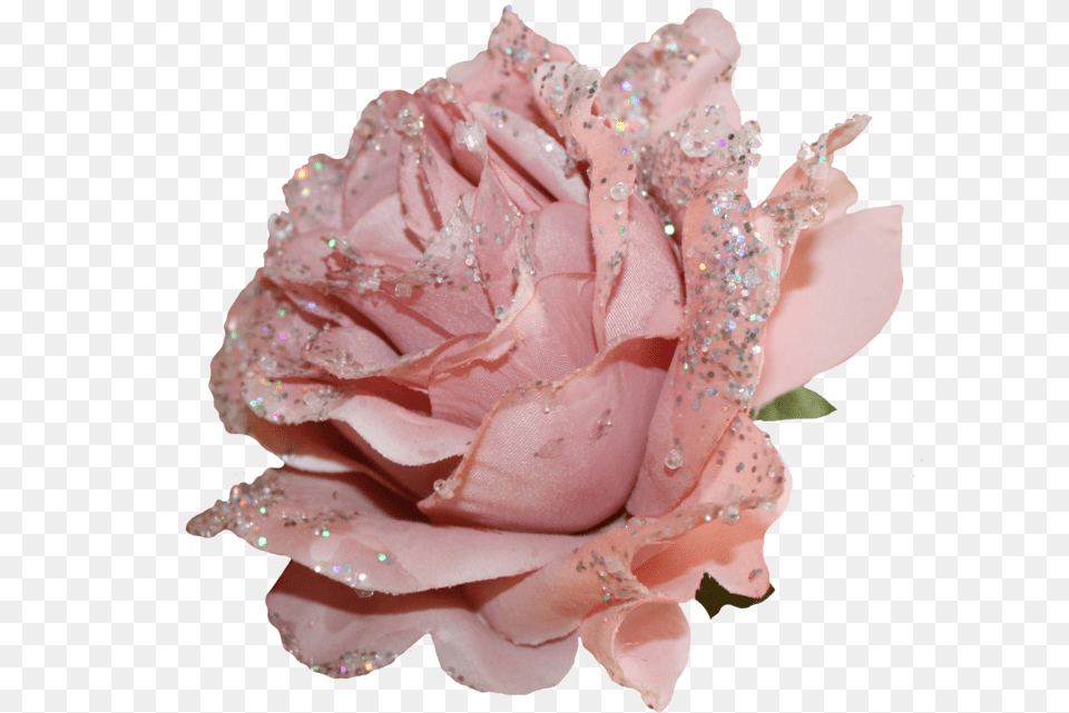 Flowers Pastel Grunge Aesthetic Pink Glitter Rose, Flower, Petal, Plant, Flower Arrangement Png