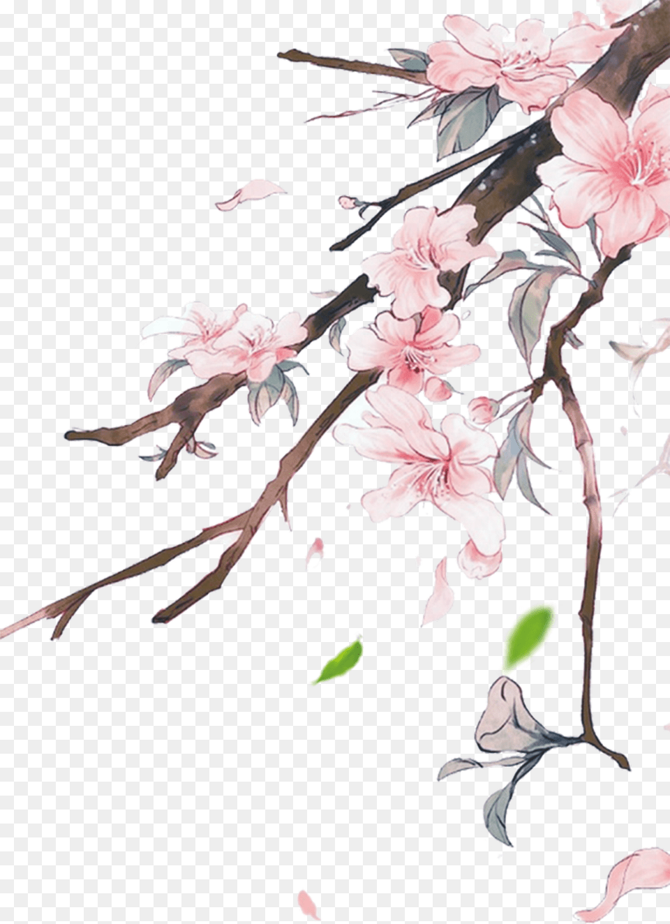 Flowers Pink Pinkflowers Japanese Nature Ftestickers Transparent Background Chinese Flowers Transparent, Flower, Plant, Cherry Blossom, Petal Png