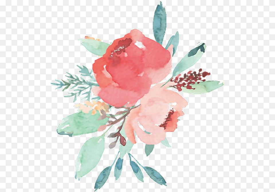 Flowers Pink Watercolor Water Colour Color Artsy Water Paint Flower, Art, Floral Design, Pattern, Graphics Png Image