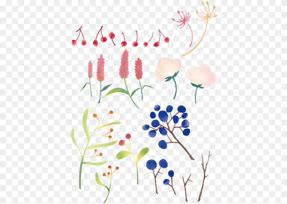 Flowers Plants Twig Free On Pixabay, Embroidery, Pattern, Berry, Food Png Image