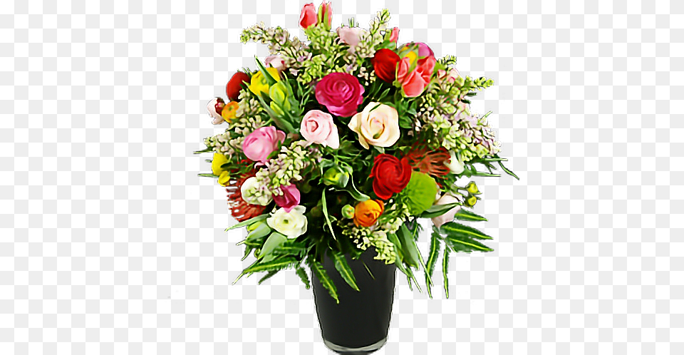 Flowers Pretty Beautiful Pettlesplant Plants Garden Roses, Art, Floral Design, Flower, Flower Arrangement Png