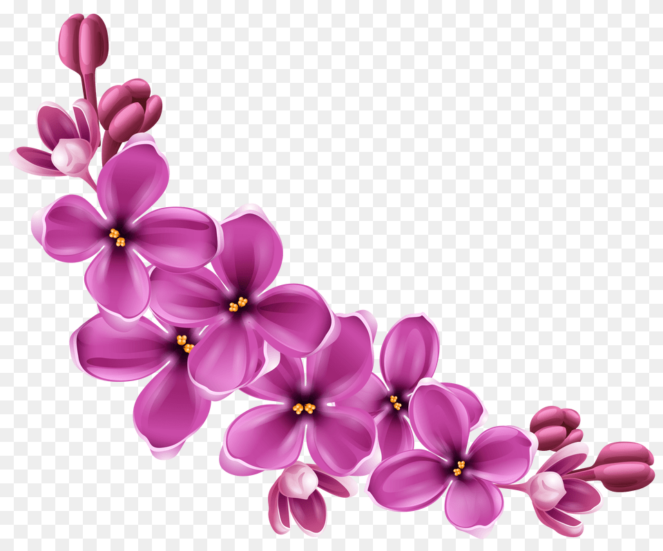 Flowers Purple Curve, Flower, Plant, Chandelier, Lamp Free Png Download