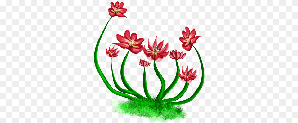 Flowers Red Red Flower Nature Bushes River Levee, Art, Floral Design, Graphics, Pattern Free Transparent Png