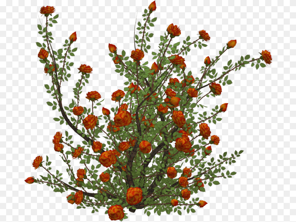 Flowers Rose Bush, Art, Floral Design, Graphics, Plant Free Transparent Png