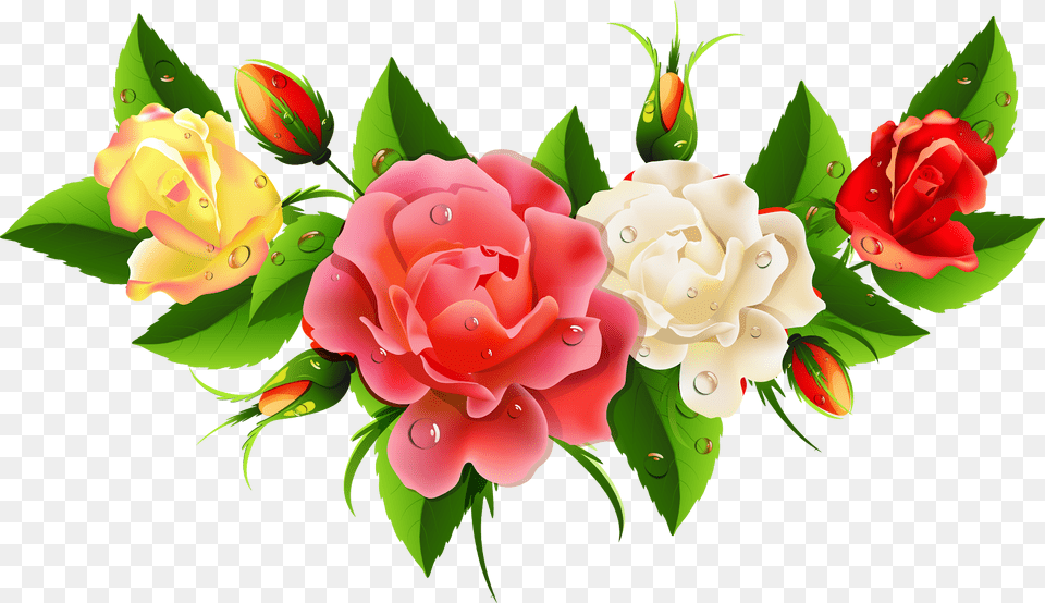Flowers Rose Clipart Coloring, Art, Floral Design, Flower, Graphics Free Png