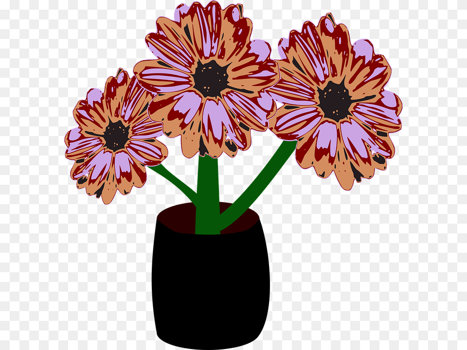 Flowers Roses Black Vase African Daisy, Anther, Flower, Plant, Geranium Free Transparent Png