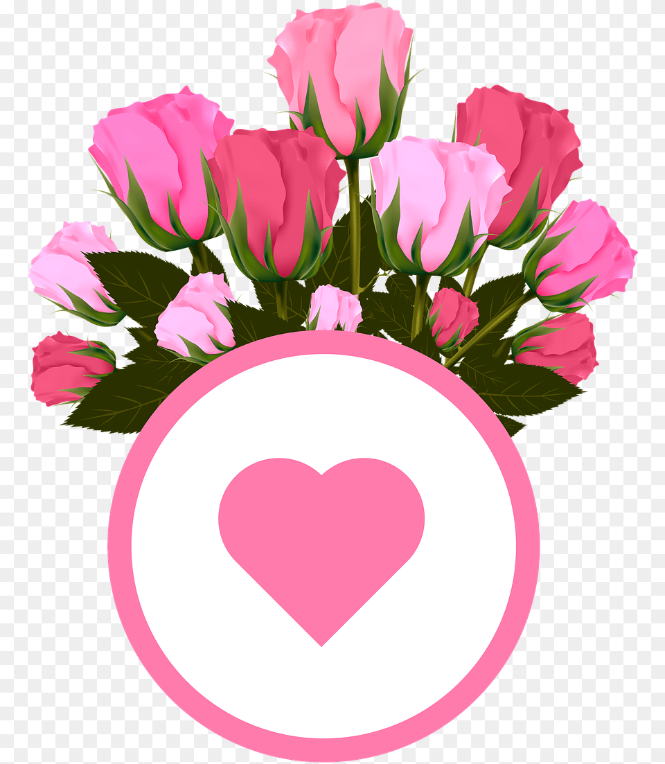 Flowers Roses Pink Image On Pixabay Good Morning Happy Tuesday Have A Nice Day, Flower, Flower Arrangement, Flower Bouquet, Petal Free Png
