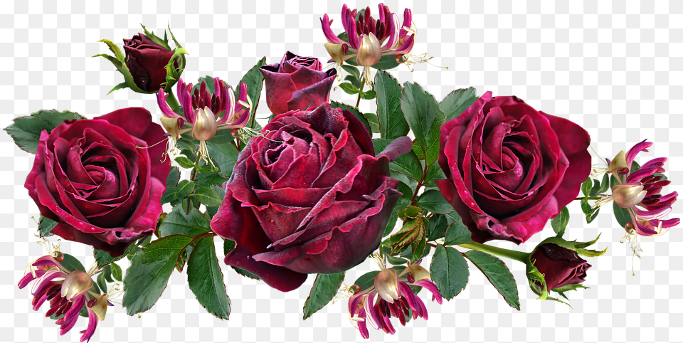 Flowers Roses Red Image On Pixabay, Flower, Flower Arrangement, Flower Bouquet, Plant Free Transparent Png