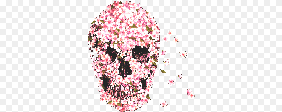 Flowers Skull And Pink Image Skull Pink, Flower, Petal, Plant, Flower Arrangement Png