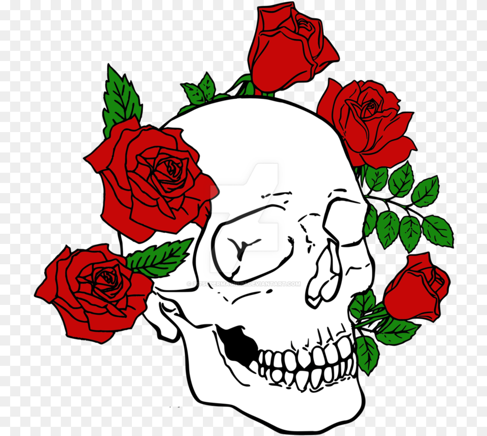 Flowers Skull Rose Skull With Roses, Plant, Flower, Art, Graphics Free Png