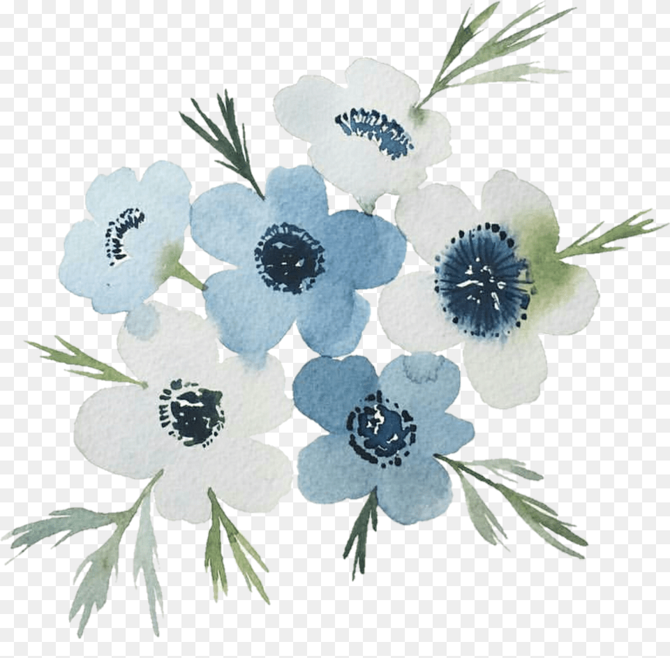 Flowers Spring Cool Blue Nature Drawing Watercolor Transparent Blue Flowers Drawing, Anemone, Pattern, Flower, Plant Png