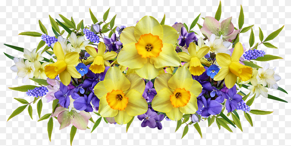 Flowers Spring Daffodils Violets And Daffodils, Flower, Flower Arrangement, Flower Bouquet, Plant Png