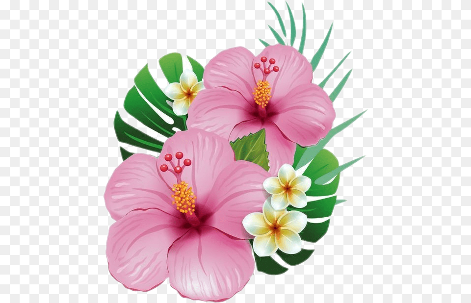 Flowers Summer Nice Holiday Jolie Rose Flores De Moana, Anther, Flower, Plant, Hibiscus Free Png
