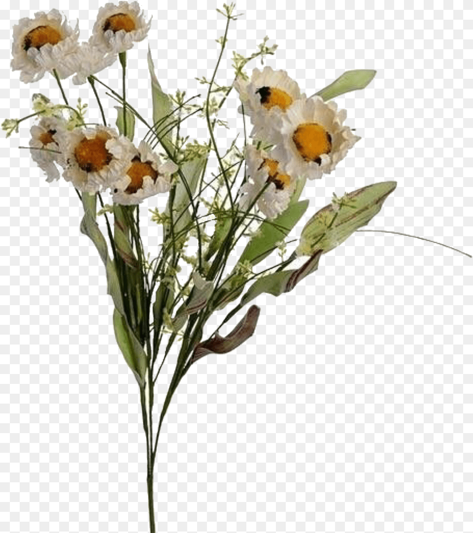 Flowers Uploaded Flower Aesthetic Plant, Flower Bouquet, Graphics, Flower Arrangement, Floral Design Free Transparent Png