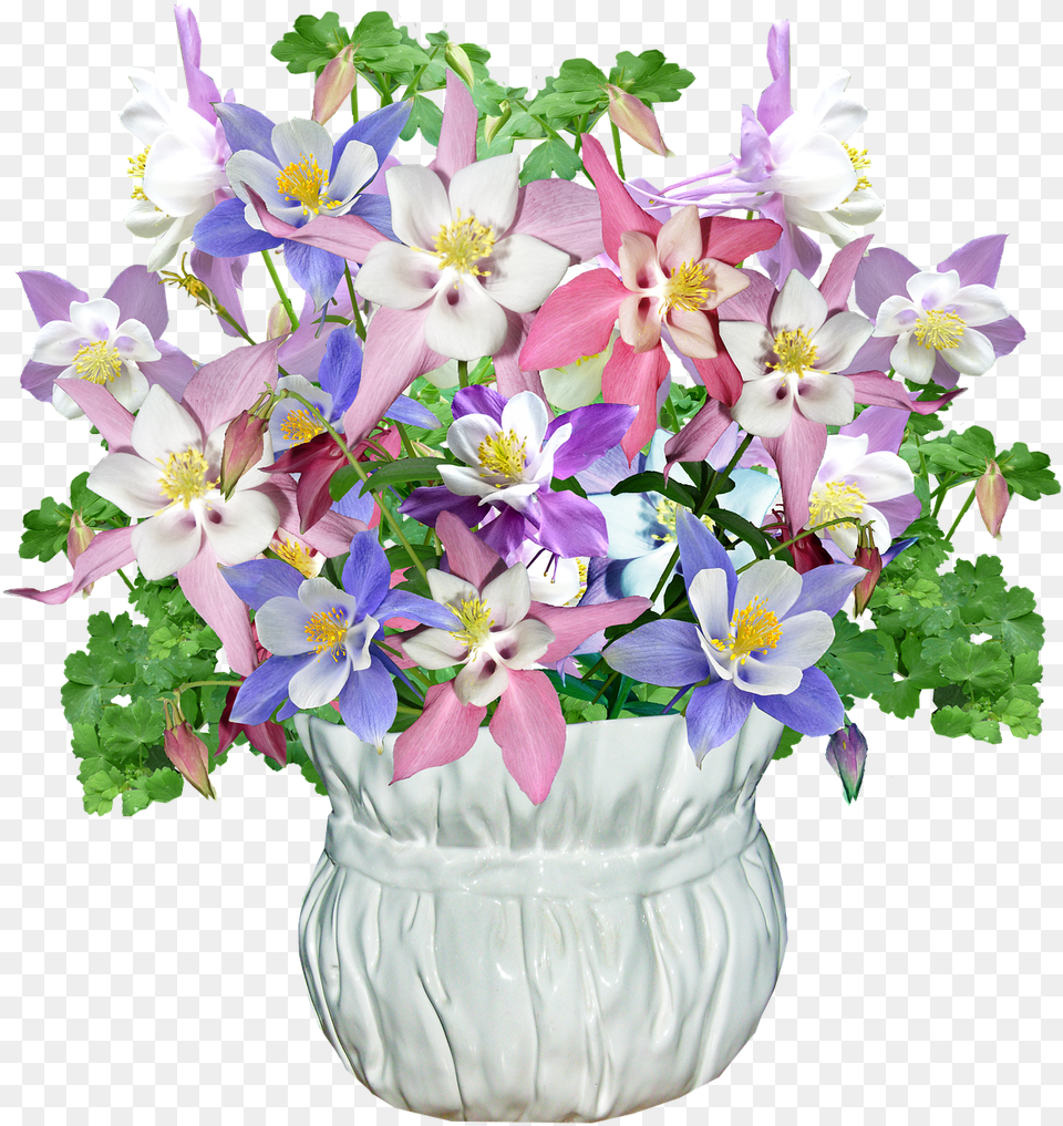 Flowers Vase Spring Photo Spring Bourquet Clipart, Flower, Flower Arrangement, Flower Bouquet, Plant Free Transparent Png