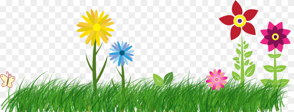 Flowers Vector, Grass, Plant, Daisy, Petal Free Png Download