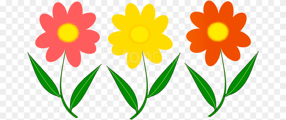 Flowers Vector Vector Clipart Flower, Daisy, Petal, Plant, Leaf Png Image