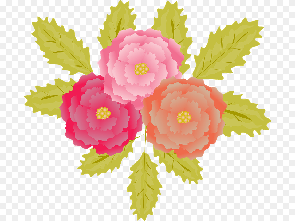 Flowers Vectors 26 Save 2000 In 2 Months, Plant, Flower, Art, Graphics Png Image