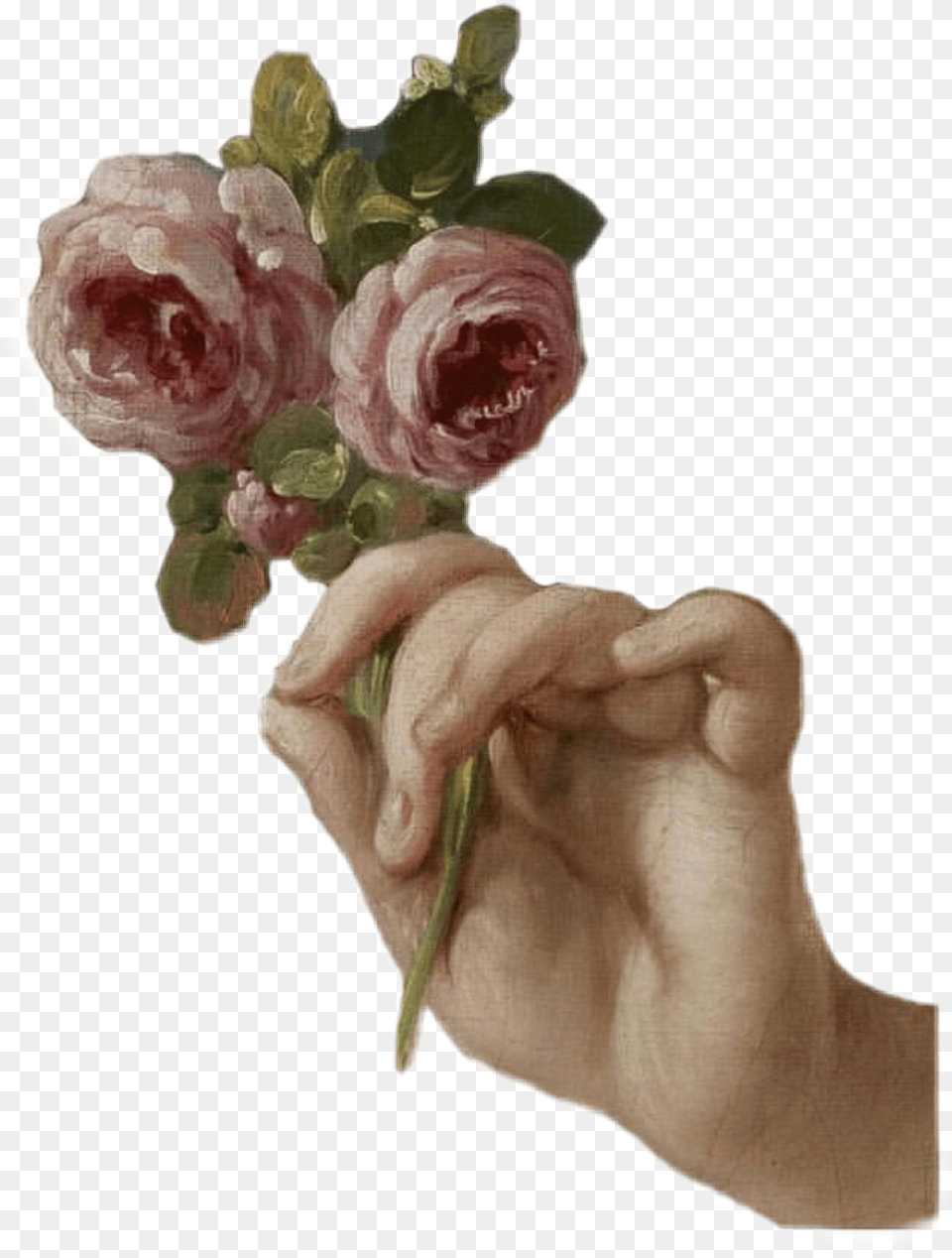Flowers Vintage Vintagepng Girl With Roses, Rose, Plant, Flower, Painting Free Png