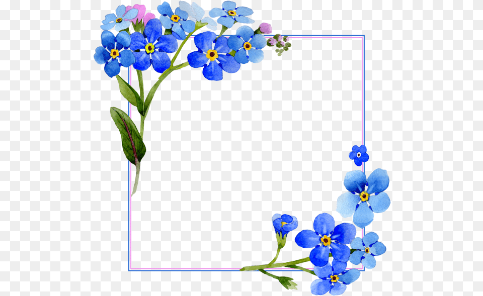 Flowers Watercolor Cover Vector Frame Watercolor Blue Flower Background, Anemone, Geranium, Plant, Petal Free Png