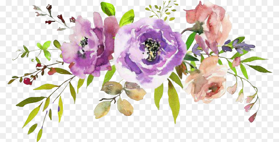 Flowers Watercolor Background, Anemone, Plant, Petal, Flower Free Transparent Png