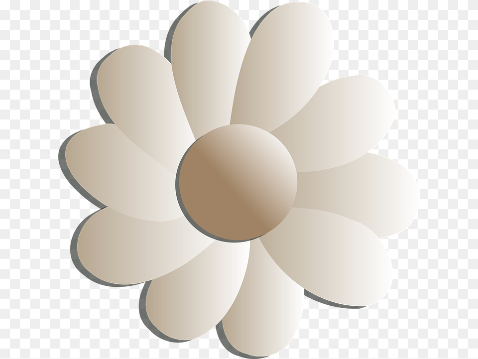 Flowers White Floral Black And White Flowers, Anemone, Flower, Plant, Daisy Free Png