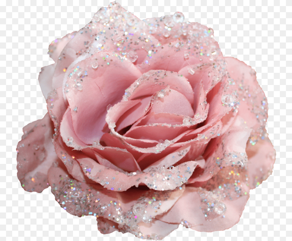 Flowers With Glitter, Flower, Plant, Rose, Petal Free Png Download