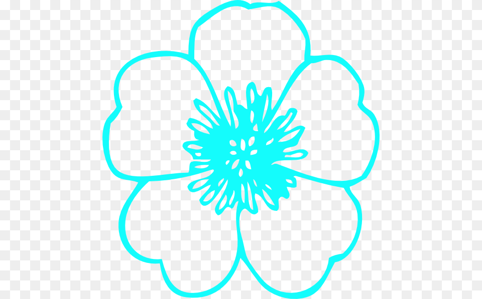 Flowers With No Color, Anemone, Anther, Dahlia, Daisy Free Png
