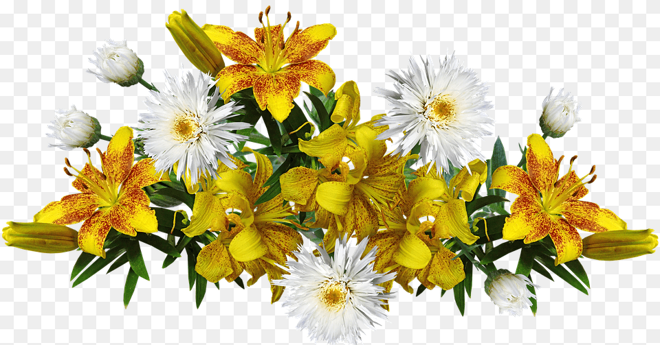Flowers Yellow Fragrant Lilies Daisies Arrangement Yellow Lily, Daisy, Flower, Flower Arrangement, Flower Bouquet Png