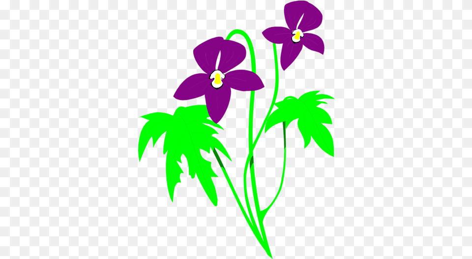 Flowerspng Clipart Panda Clipart Images Purple And Green Flower Clipart, Plant, Geranium Free Png Download