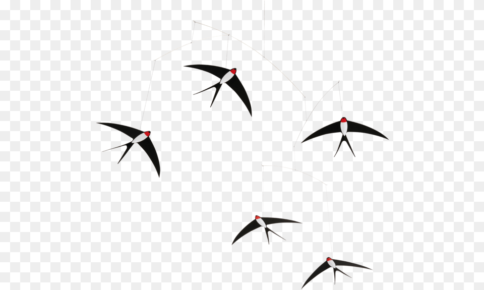Flowing Swallow Mobile Swallows Mobile, Animal, Bird, Flying Png Image