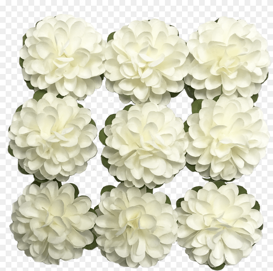 Flr 062 Paper Flower White, Dahlia, Flower Arrangement, Petal, Plant Png Image