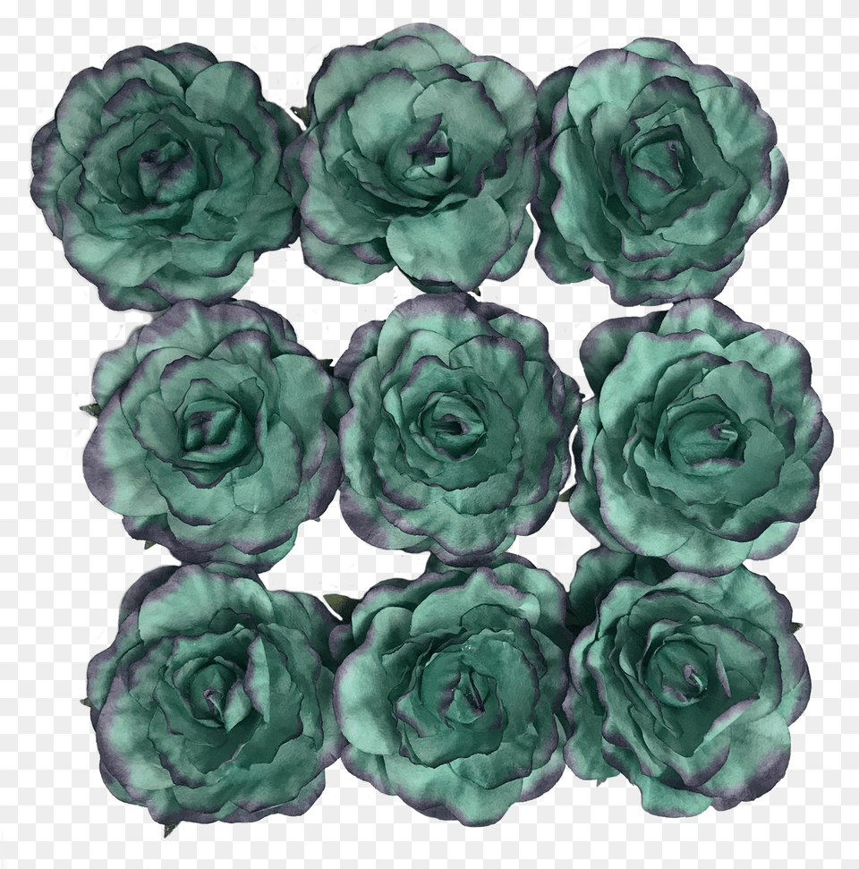 Flr 063 Paper Flowerteal Wdark Purple Trim Floribunda, Flower, Pattern, Plant, Rose Free Transparent Png