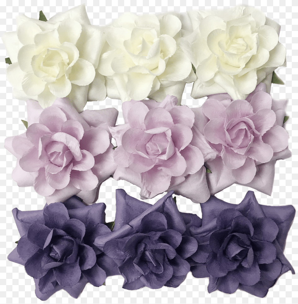 Flr 065 Paper Flowercream Pink Purple Garden Roses, Flower, Flower Arrangement, Flower Bouquet, Plant Free Png