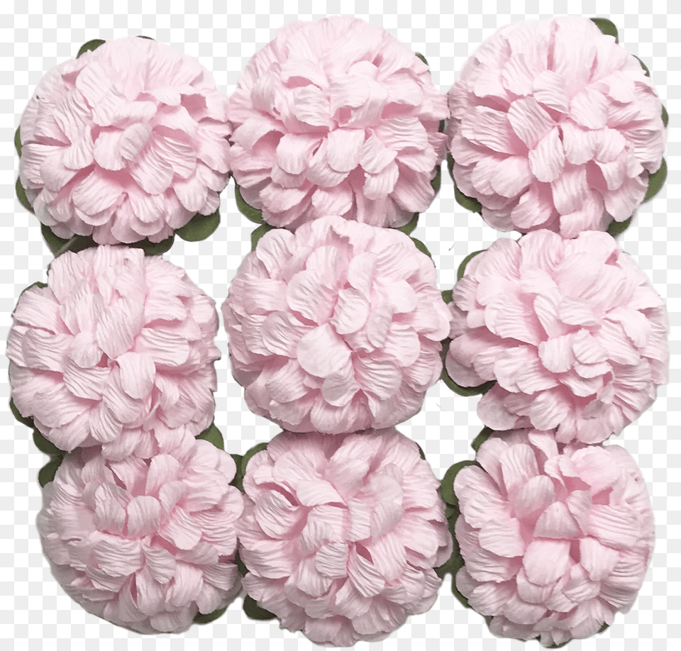 Flr 066 Paper Flowerpink Hydrangea Serrata, Carnation, Flower, Plant, Rose Free Transparent Png