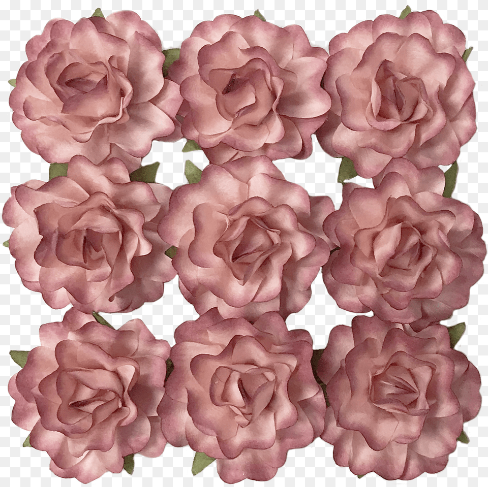 Flr 072 Paper Flowerdusty Pink Artificial Flower, Geranium, Plant, Rose, Carnation Free Transparent Png